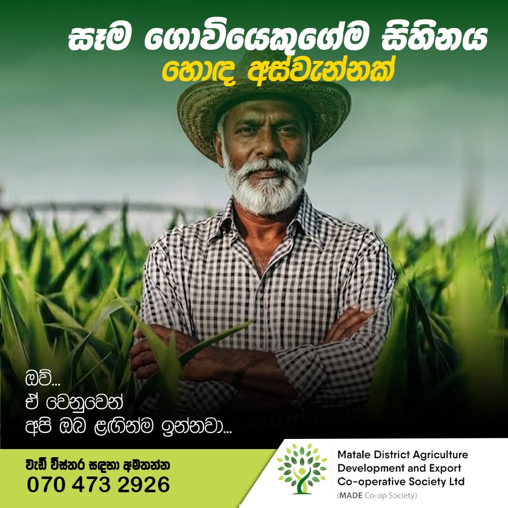 සෑම ගොවියෙකුගේම සිහිනය - හොඳ අස්වැන්නක්... 🚜🌾