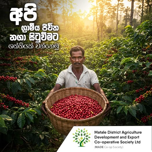 Matale District Agriculture Development and Export Co-operative Society Ltd, (MADE Co-op Society) වෙත ඔබව සාදරයෙන් පිළිගනිමු! 👋🌾